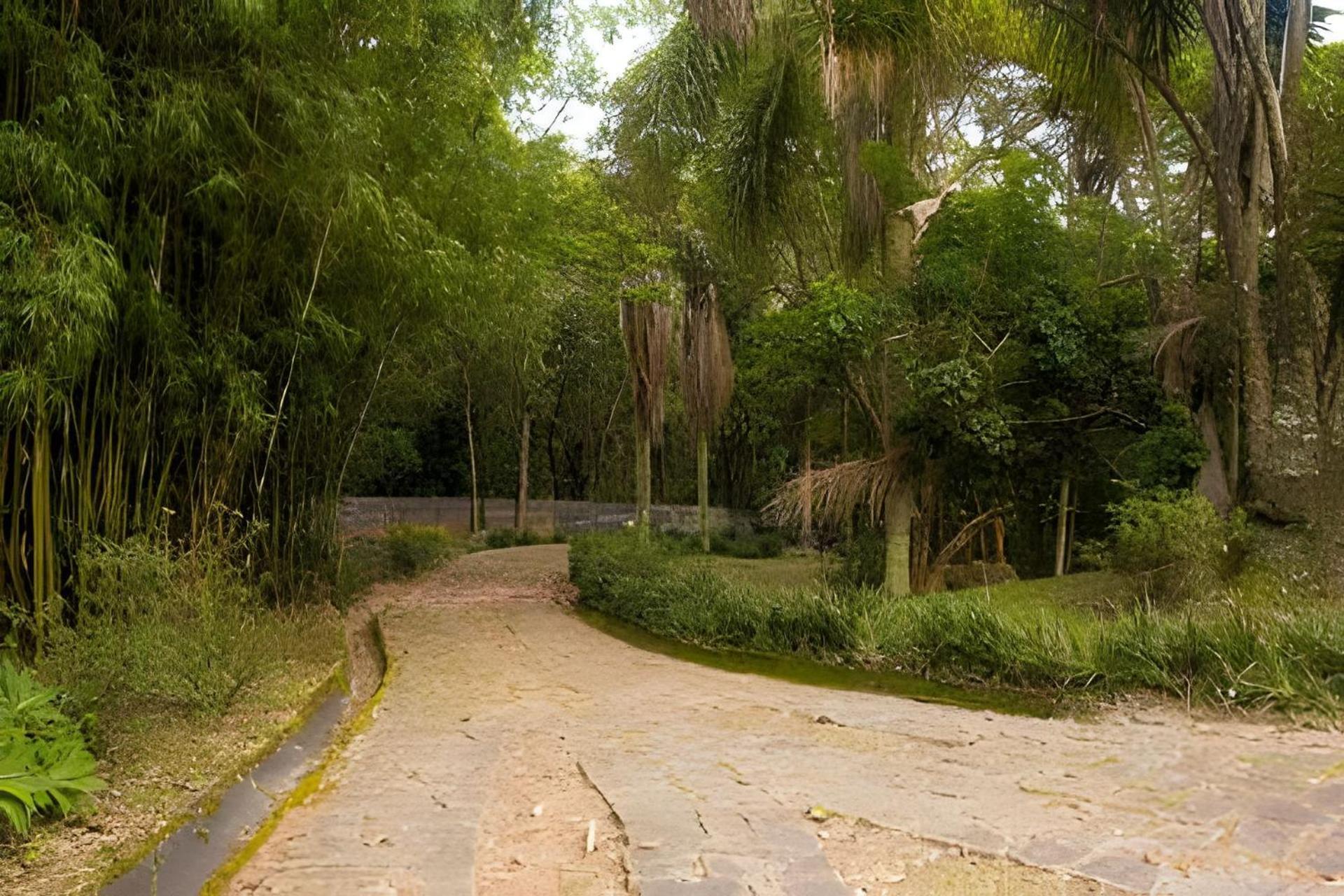 Villa Sitio Em Sao Roque, Paraiso Ao Lado De Sao Paulo! Exterior foto