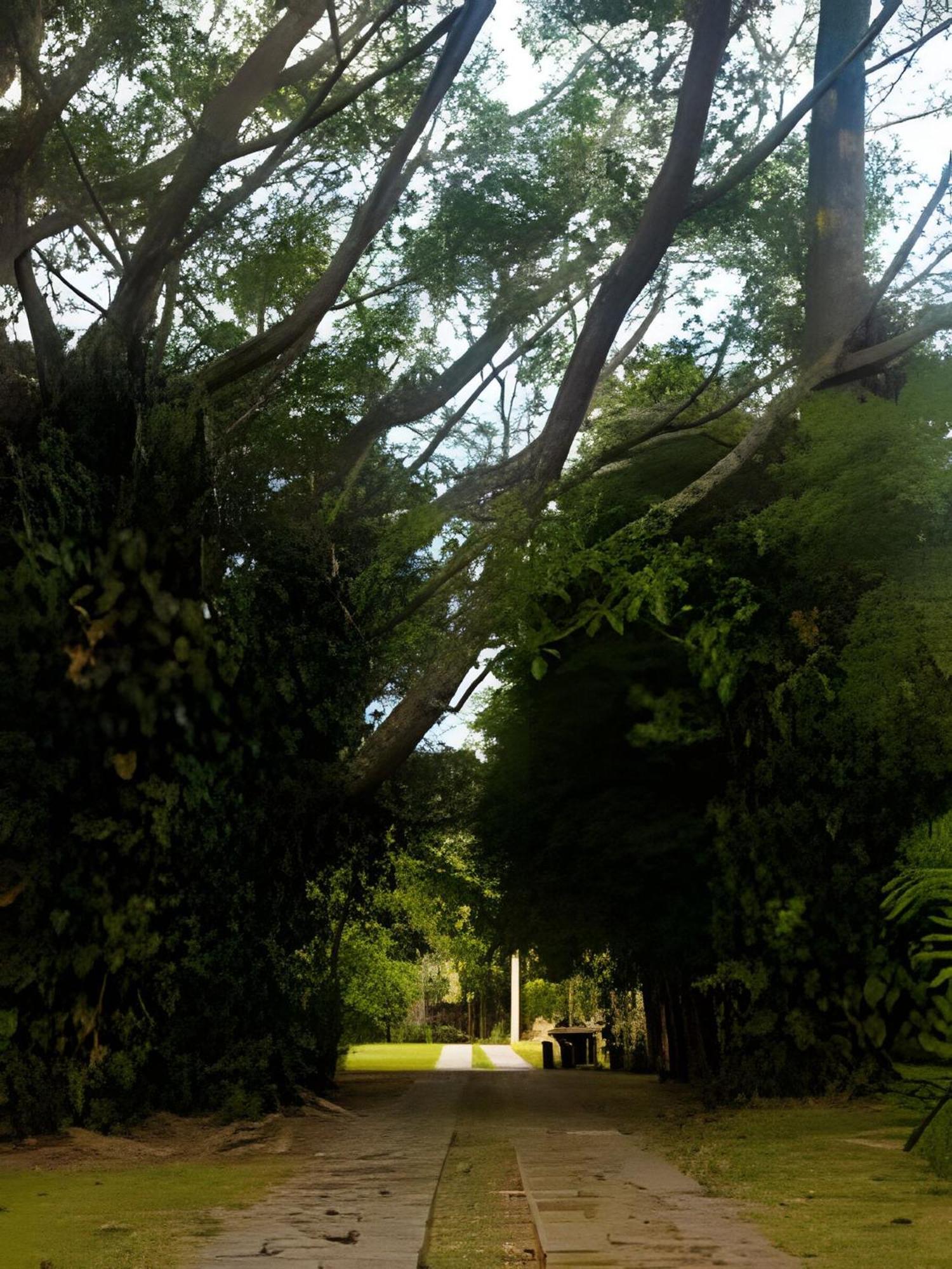 Villa Sitio Em Sao Roque, Paraiso Ao Lado De Sao Paulo! Exterior foto