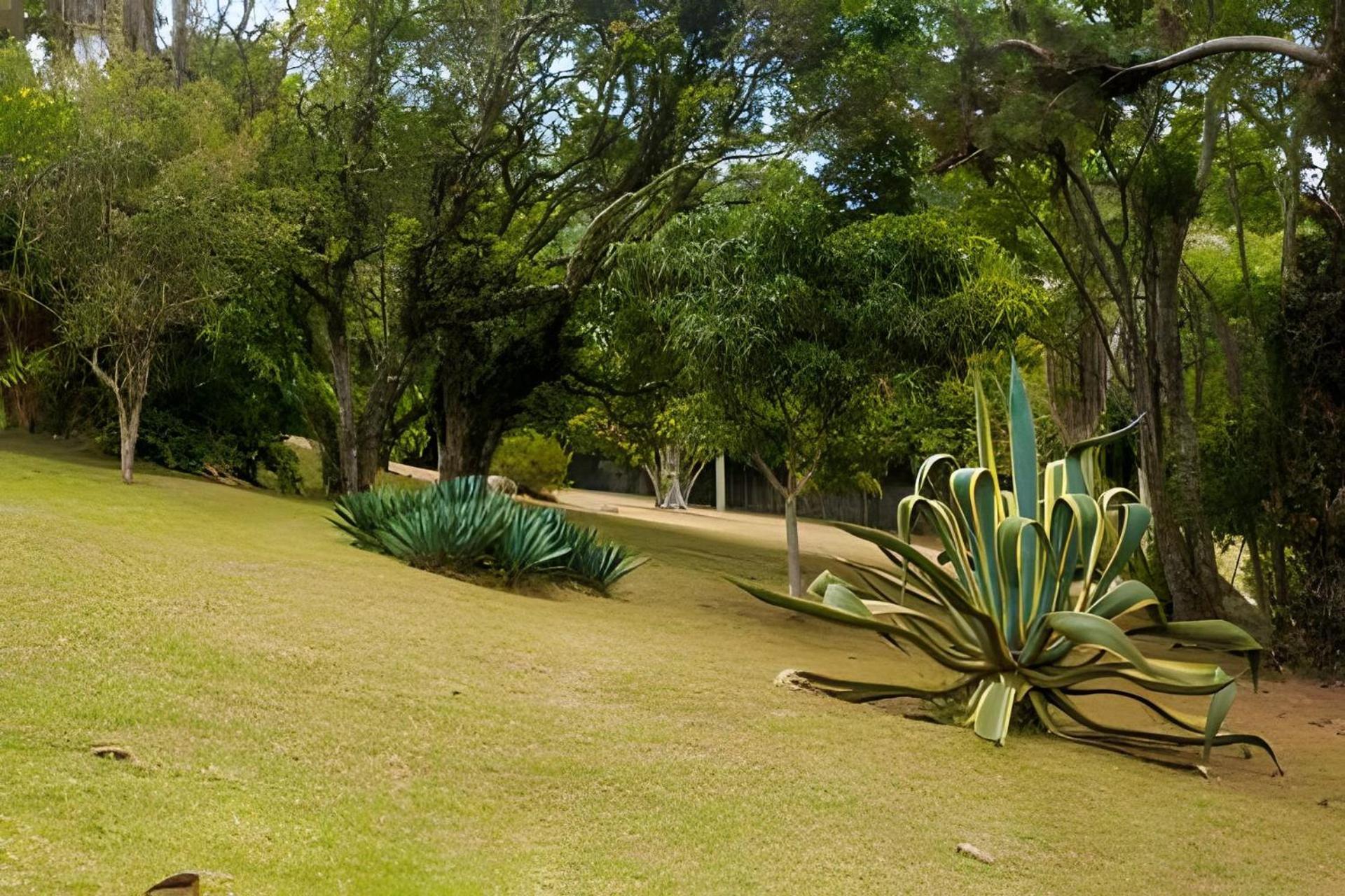 Villa Sitio Em Sao Roque, Paraiso Ao Lado De Sao Paulo! Exterior foto