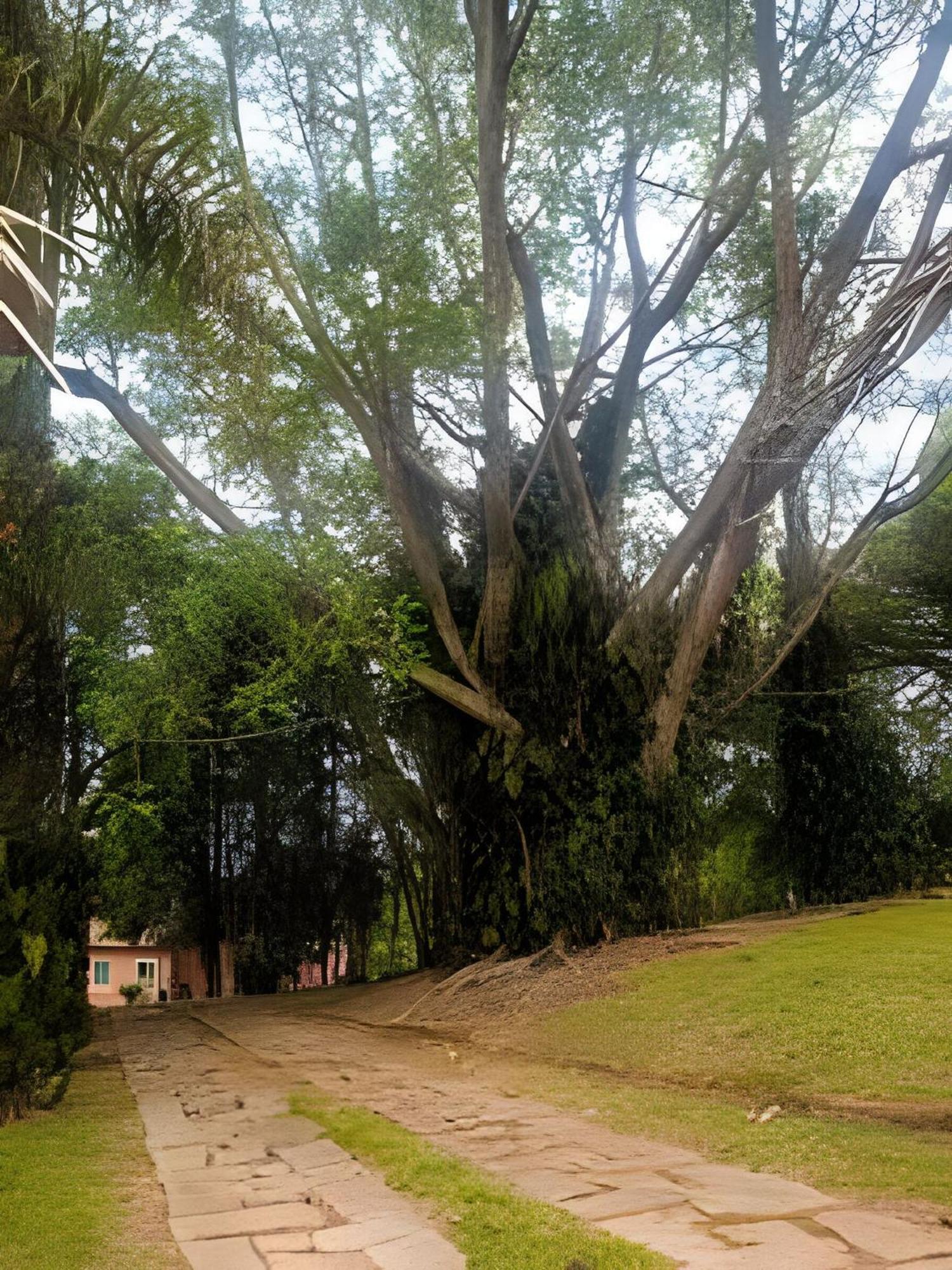 Villa Sitio Em Sao Roque, Paraiso Ao Lado De Sao Paulo! Exterior foto